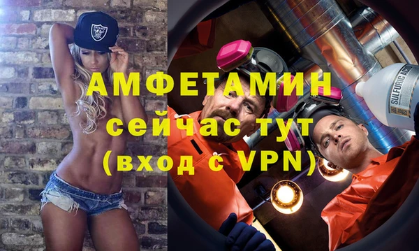 шишки Белокуриха