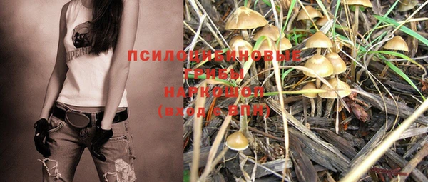 шишки Белокуриха