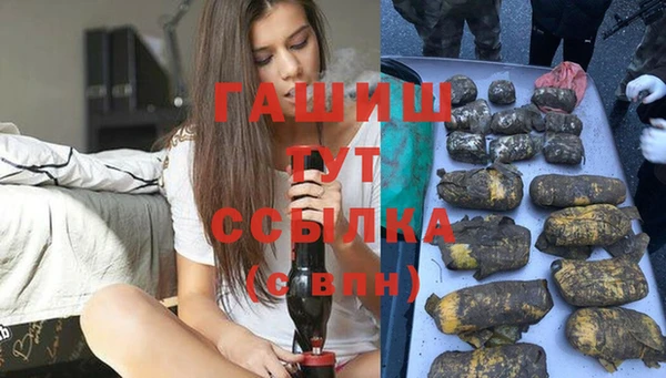шишки Белокуриха