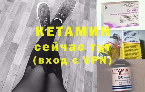 шишки Белокуриха