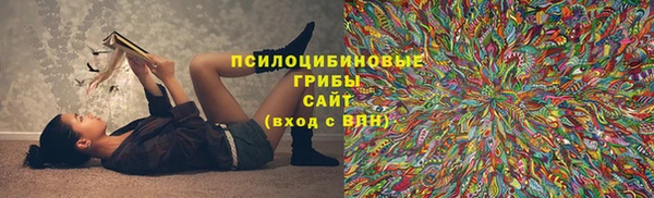 гашик Беломорск