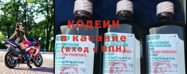 шишки Белокуриха