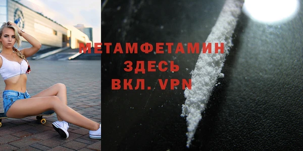 шишки Белокуриха