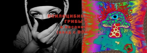 шишки Белокуриха